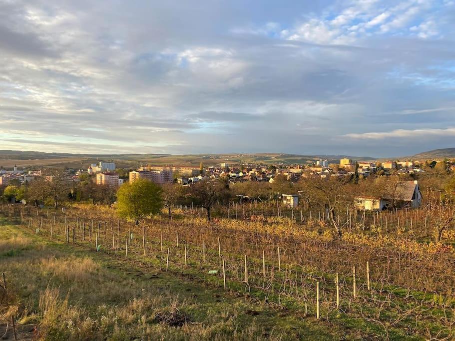 Villa Kyjoff - Domecek S Krasnymi Vyhledy Kyjov  Esterno foto