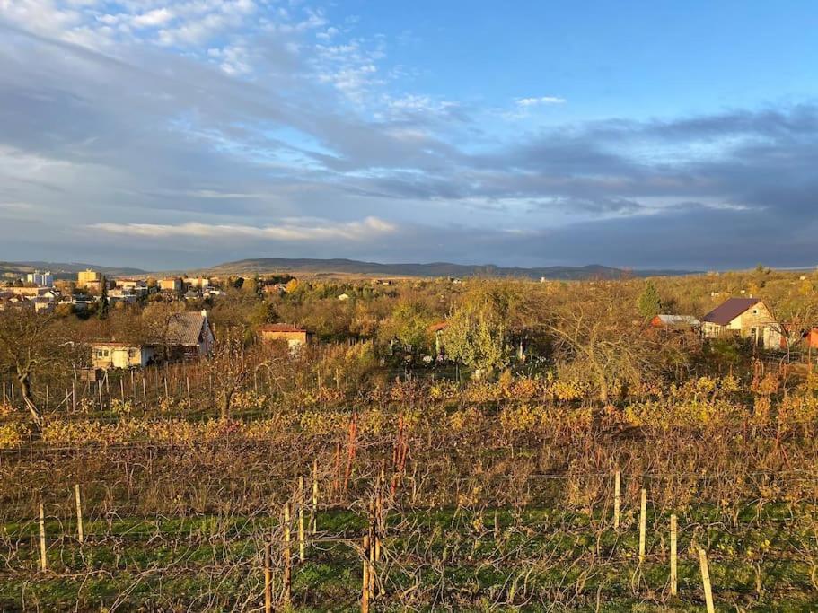 Villa Kyjoff - Domecek S Krasnymi Vyhledy Kyjov  Esterno foto